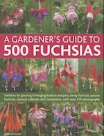 Gardener's Guide to 500 Fuchsias