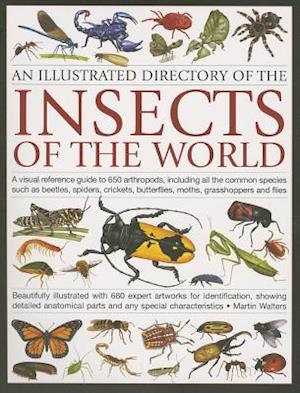 An Illustrated Directory of the Insects of the World