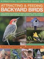 A Practical Illustrated Guide to Attracting and Feeding Backyard Birds