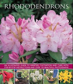 Rhododendrons