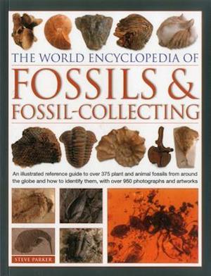 World Encyclopedia of Fossils & Fossil-Collecting