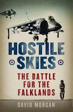 Hostile Skies