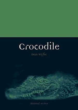 Crocodile