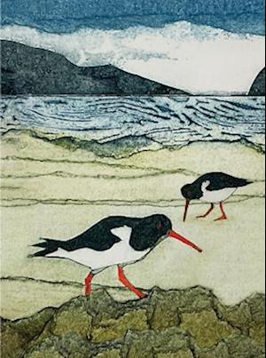 Wild Birds Pocket Notebook: Oystercatcher