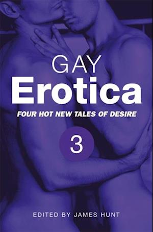 Gay Erotica, Volume 3