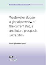 Wastewater Sludge
