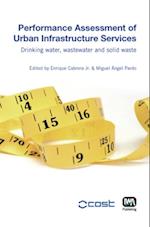 Performance Assessment of Urban Infrastructure Services