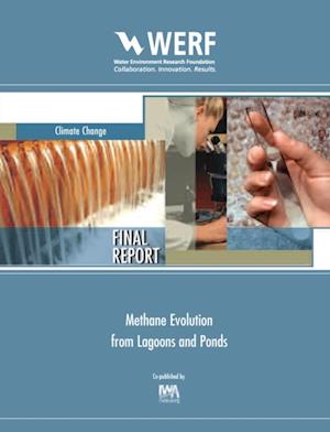 Methane Evolution from Lagoons and Ponds