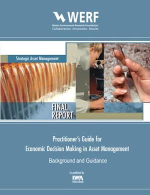 Practitioner's Guide to Economic Decision Making in Asset Management