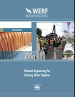 Renewal Engineering for Drinking Water Pipelines