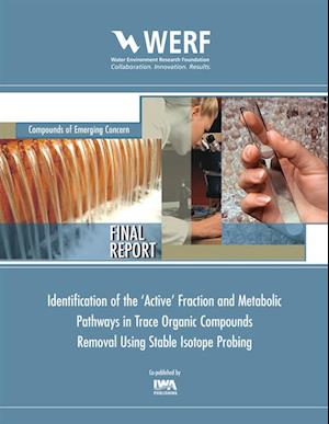 Identification of the 'Active' Fraction and Metabolic Pathways in Trace Organic Contaminants Removal Using Stable Isotope Probing