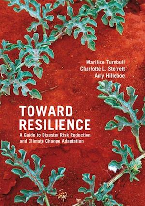 Toward Resilience