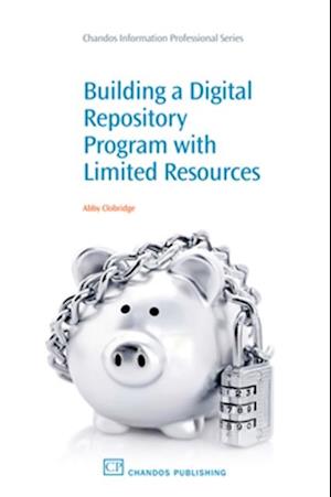 Building a Digital Repository Program with Limited Resources