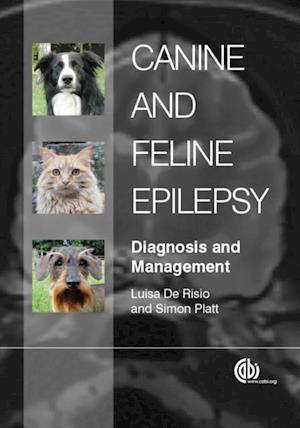 Canine and Feline Epilepsy