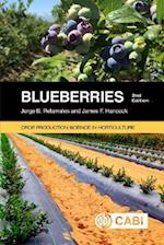 Blueberries