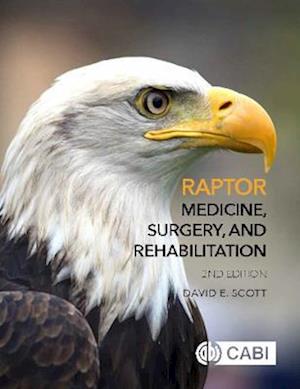 Raptor Medicine, Surgery and Rehabilitation
