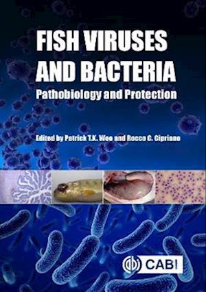 Fish Viruses and Bacteria : Pathobiology and Protection