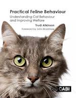 Practical Feline Behaviour : Understanding Cat Behaviour and Improving Welfare