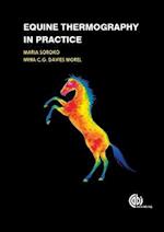 Equine Thermography in Practice