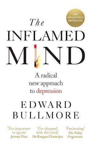 The Inflamed Mind