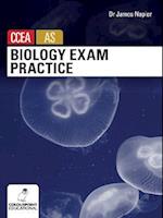Biology Exam Practice for CCEA AS Level