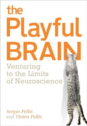 Playful Brain