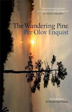 The Wandering Pine