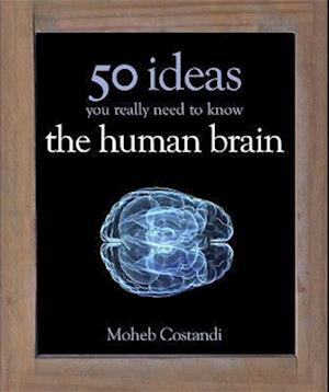 50 Human Brain Ideas You Really Need to Know