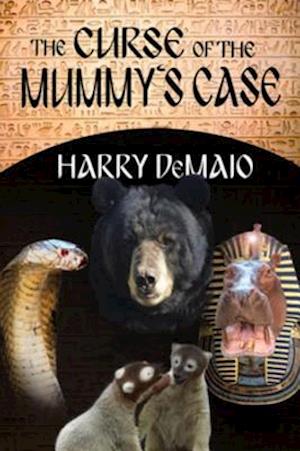 Curse of the Mummy's Case