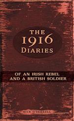 1916 Diaries of an Irish Rebel and a British Soldier