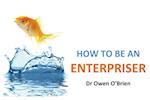How to be an Enterpriser