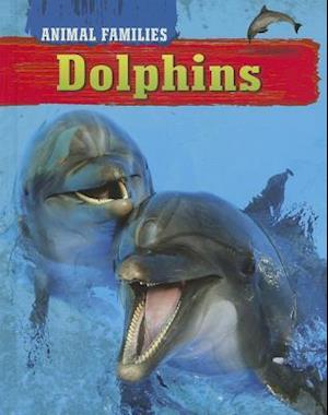 Dolphins