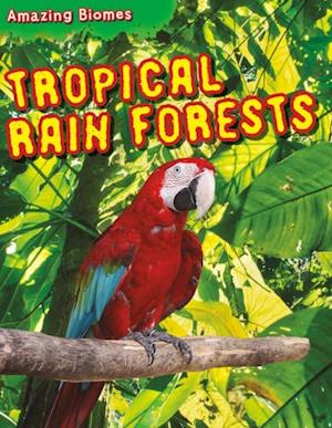 Tropical Rain Forests