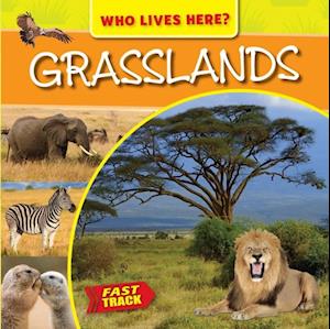 Grasslands