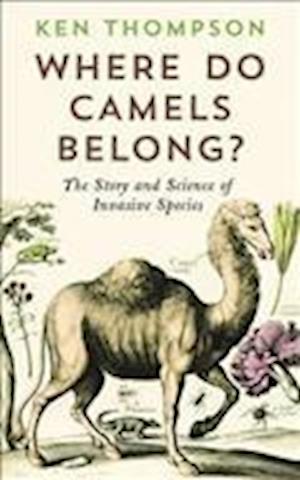 Where Do Camels Belong?