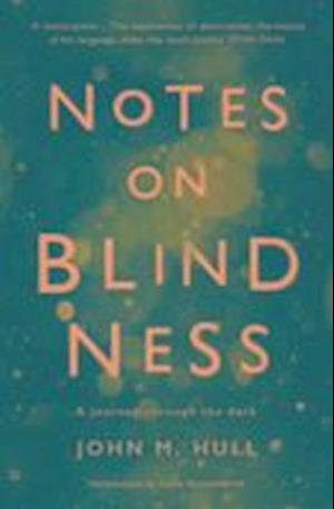 Notes on Blindness