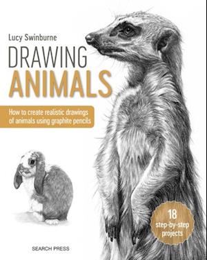 Drawing Animals