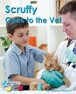 Scruffy Goes to the Vet