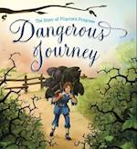 Dangerous Journey