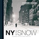 New York In The Snow
