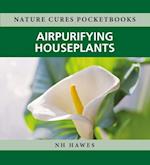 Air-purifying Houseplants