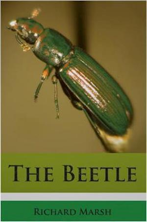 Beetle