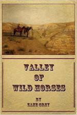 Valley of Wild Horses