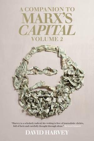 Companion to Marx's Capital, Volume 2