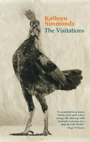 Visitations