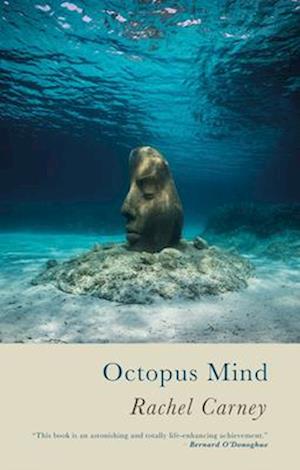 Octopus Mind