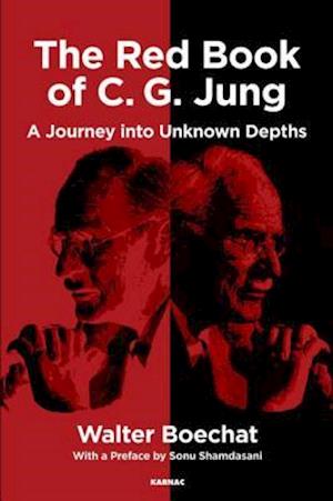 The Red Book of C.G. Jung : A Journey into Unknown Depths