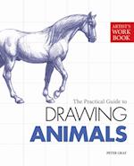 Artist's Workbook: Animals