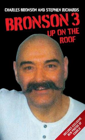 Bronson 3 - Up on the Roof