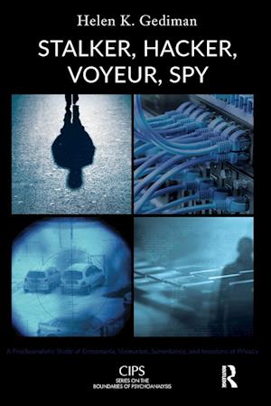 Stalker, Hacker, Voyeur, Spy